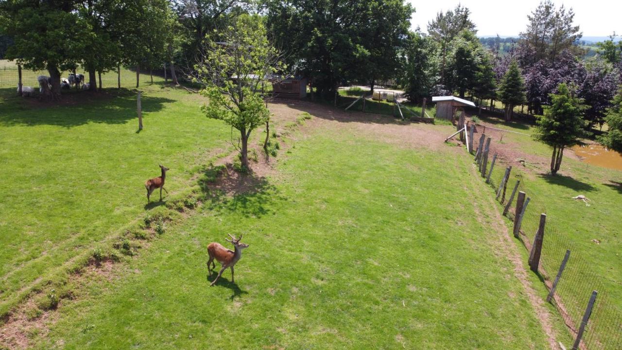 Brochepierre 28 Pers- Vue Exceptionnelle - Malmedy Exterior foto